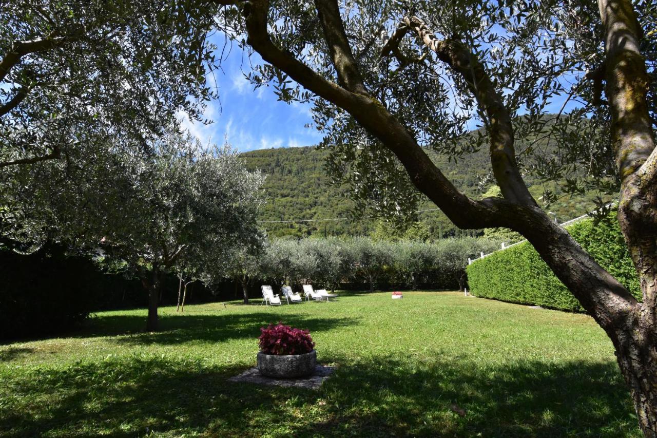Residence Gonda&Giuliano Borso del Grappa Eksteriør bilde