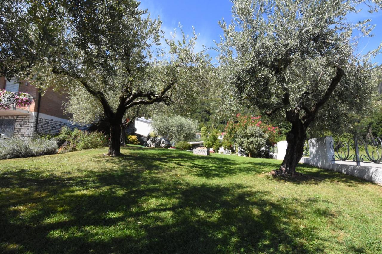 Residence Gonda&Giuliano Borso del Grappa Eksteriør bilde